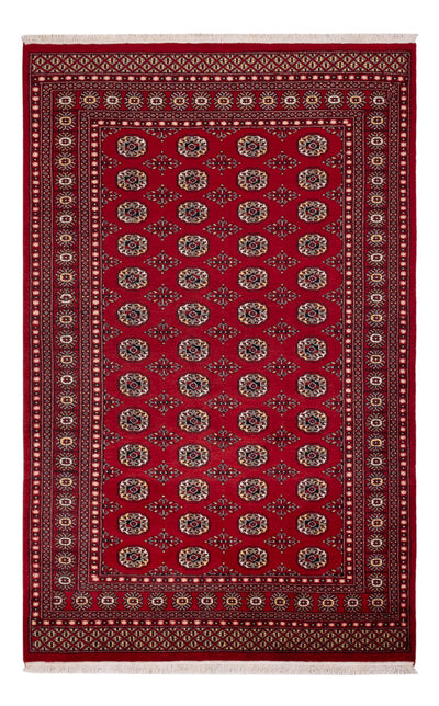 Pakistani Rug 167x256cm - Oriental Rug