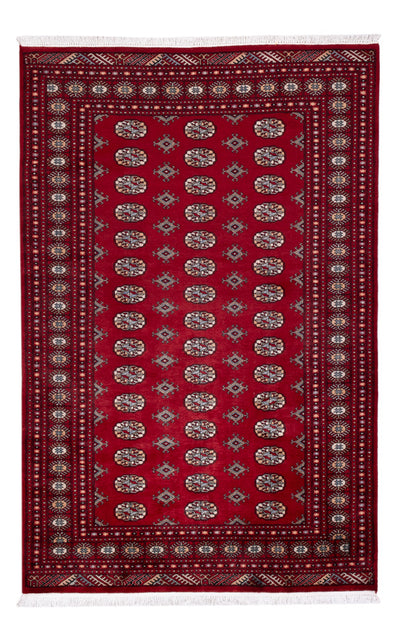 Pakistani Rug 154x241cm - Oriental Rug