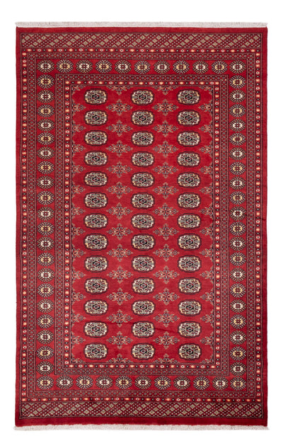 Pakistani Rug 159x250cm - Oriental Rug