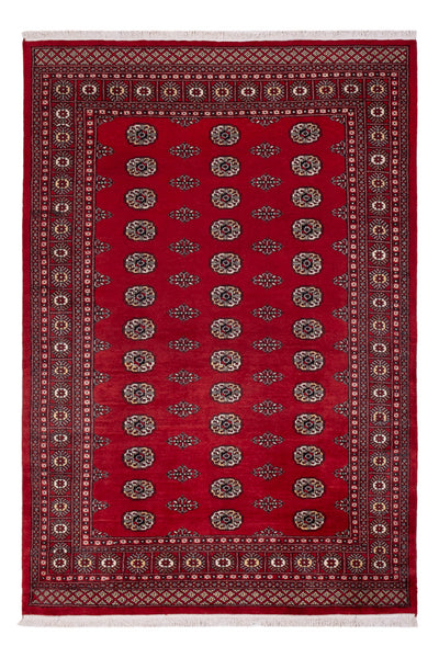 Pakistani Rug 164x239cm - Oriental Rug
