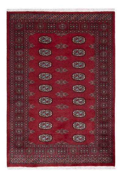 Pakistani Rug 122x178cm - Oriental Rug
