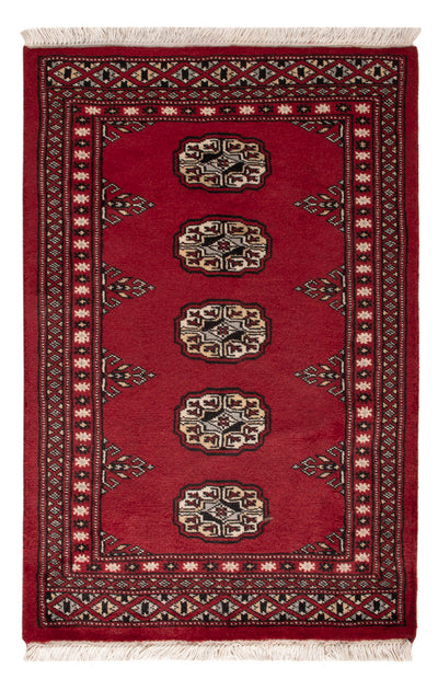 Pakistani Rug 61x94cm - Oriental Rug