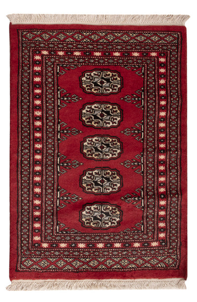 Pakistani Rug 61x93cm - Oriental Rug