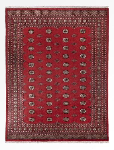 Pakistani Rug 251x331cm - Oriental Rug
