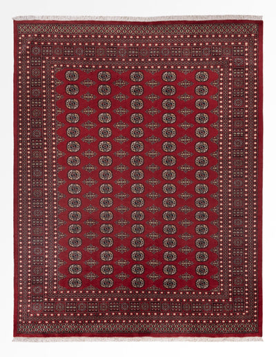 Pakistani Rug 248x318cm - Oriental Rug