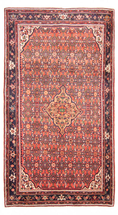 Hosseinabad Rug 164x283cm - Persian Rugs