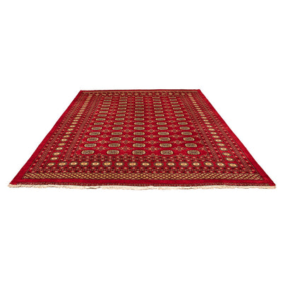 Pakistani Rug 248x320cm - Oriental Rug