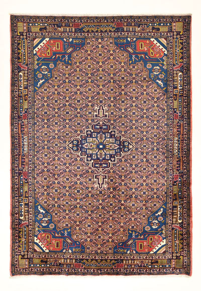 Kolyai Rug 205x290cm - Persian Rugs