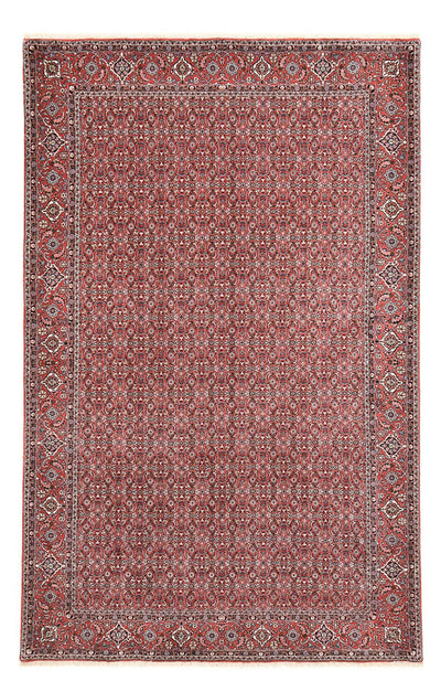 Bidjar Rug 221x347cm - Persian Rugs - rust