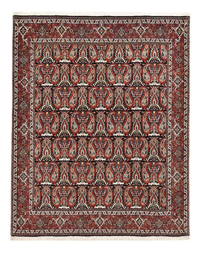 Bidjar Rug 208x248cm - Persian Rugs - rust