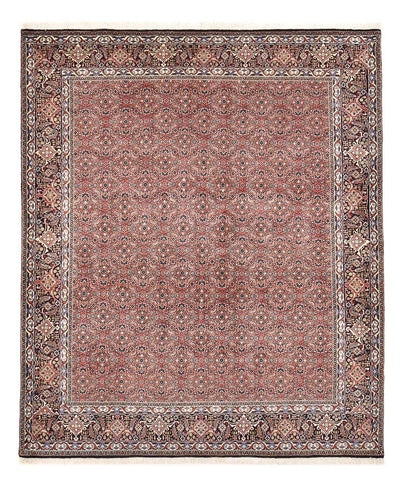 Bidjar Rug 204x244cm - Persian Rugs - rust