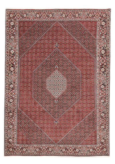 Bidjar Rug 253x354cm - Persian Rugs - rust