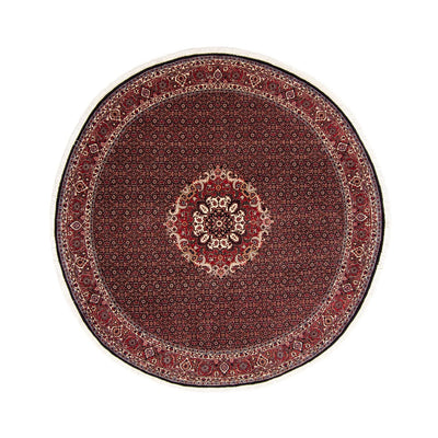 Bidjar Rug 250x250cm - Persian Rugs