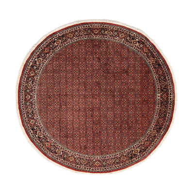 Bidjar Rug 250x250cm - Persian Rugs