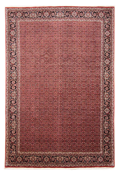 Bidjar Rug 245x350cm - Persian Rugs