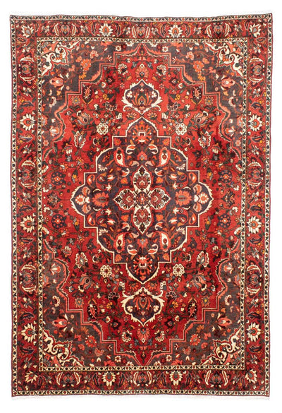 Bakhtiari Rug 207x300cm - Persian Rugs