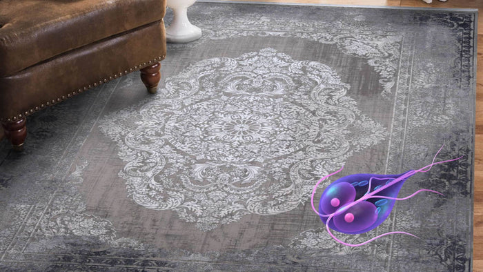 Giardia in the rug: how long do they survive and what can pet owners do?