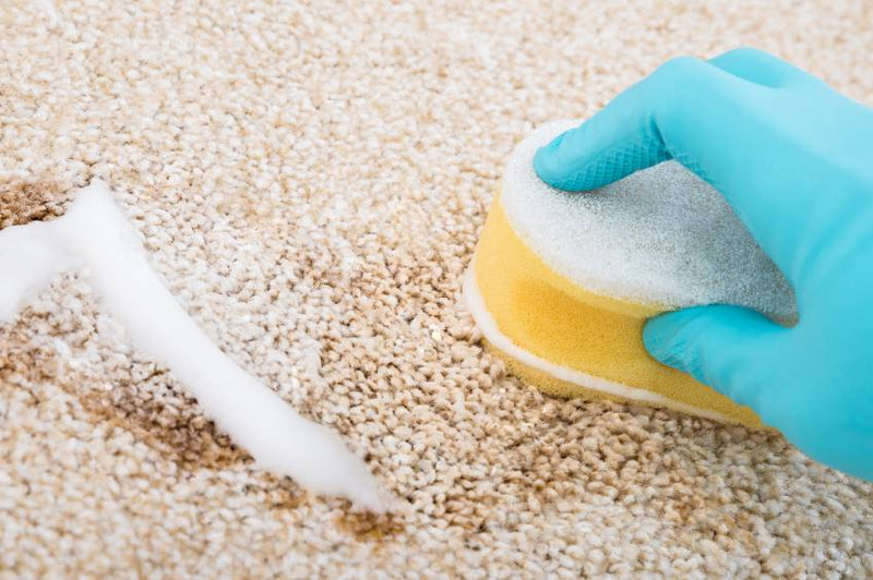 Remove stains from the rug with shaving foam