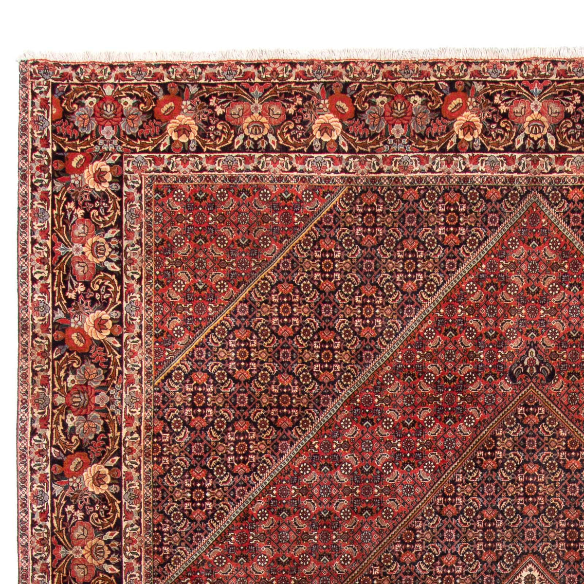 Perser Rug - Bidjar - 350 x 250 cm - red