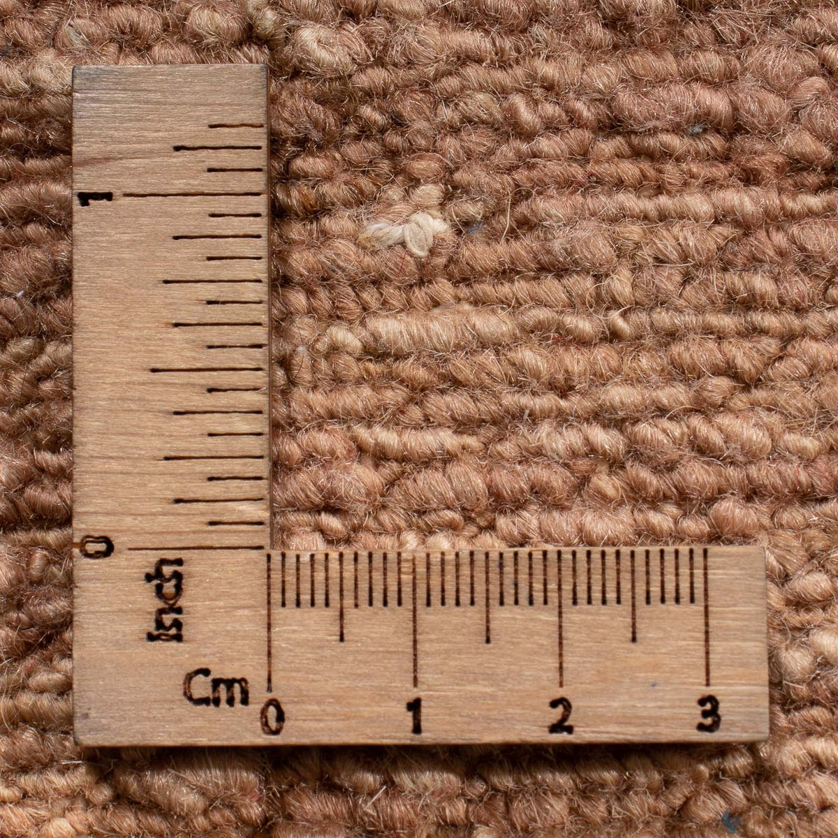 Ziegler Rug - Modern - 300 x 200 cm - beige