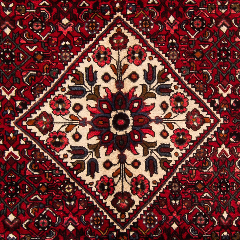Hamadan Rug 165x310cm - Persian Rugs