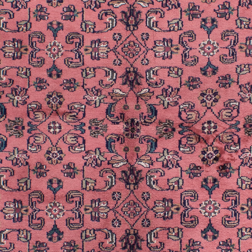 Oriental Rug - Indus - 240 x 170 cm - salmon