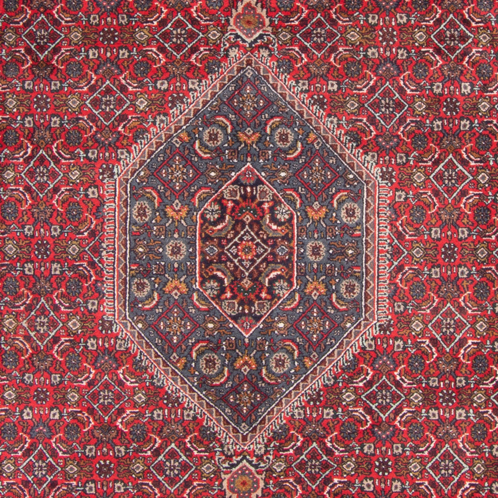 Oriental Rug - Bidjar - Indus - 338 x 251 cm - red