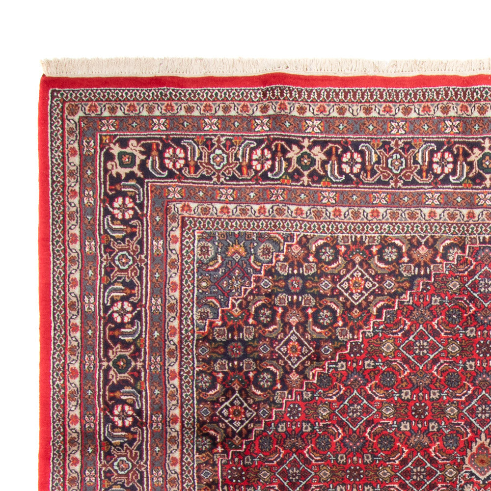Indo Bidjar Rug 251x338cm - Oriental Rug