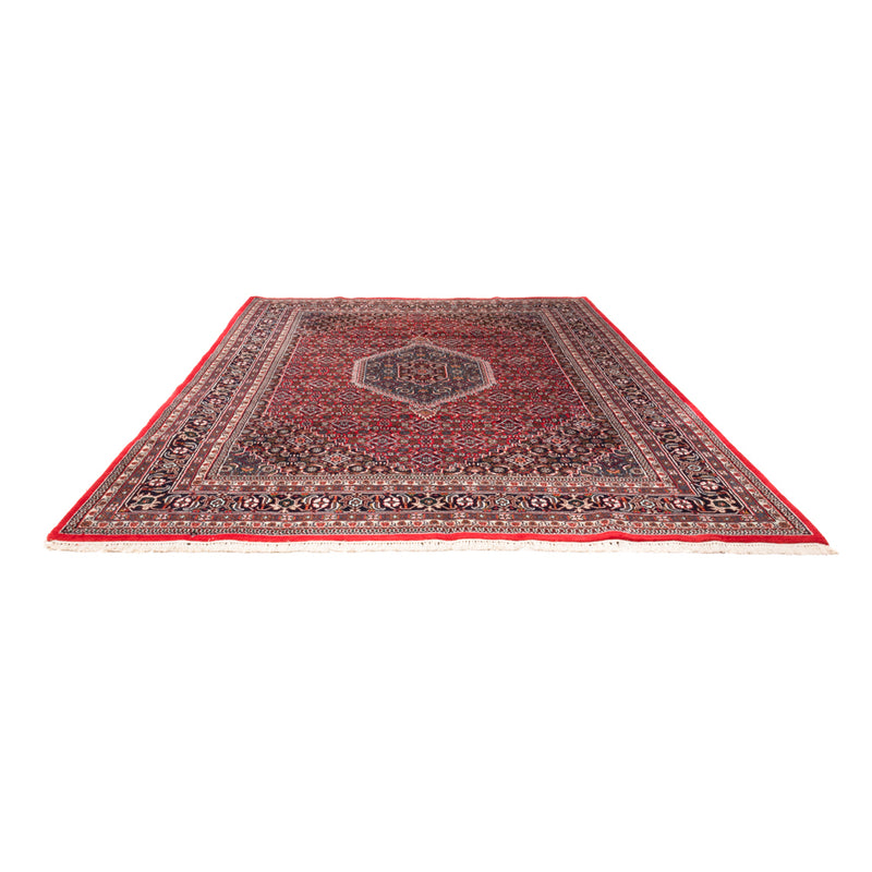 Oriental Rug - Bidjar - Indus - 338 x 251 cm - red