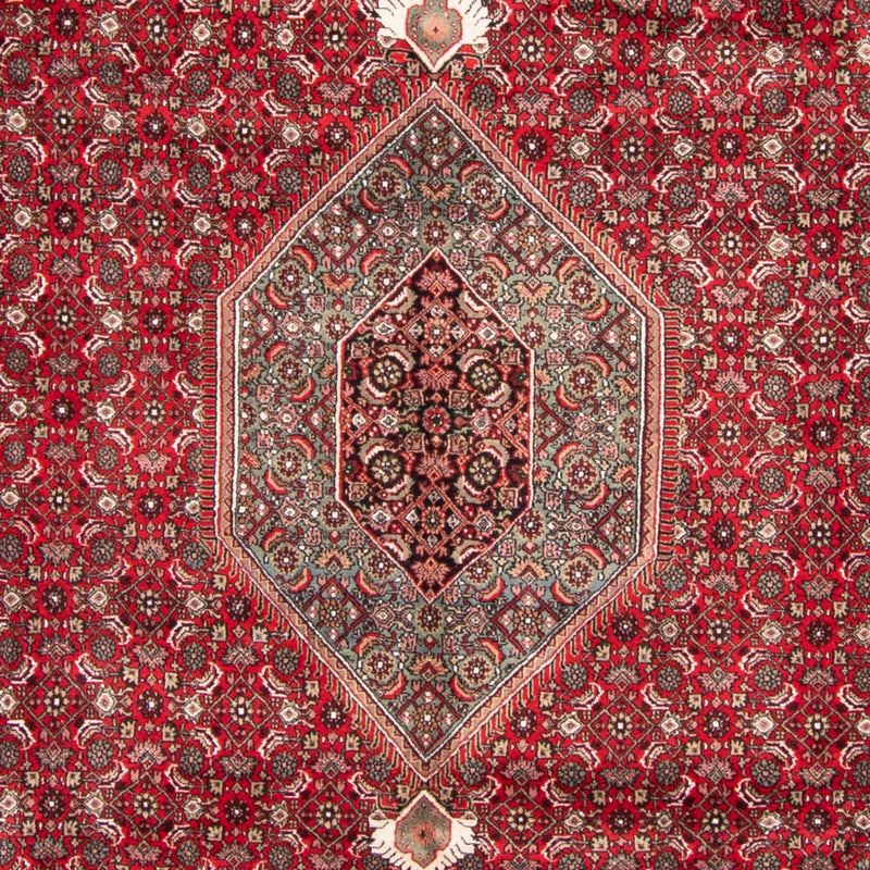 Oriental Rug - Bidjar - Indus - 361 x 255 cm - red