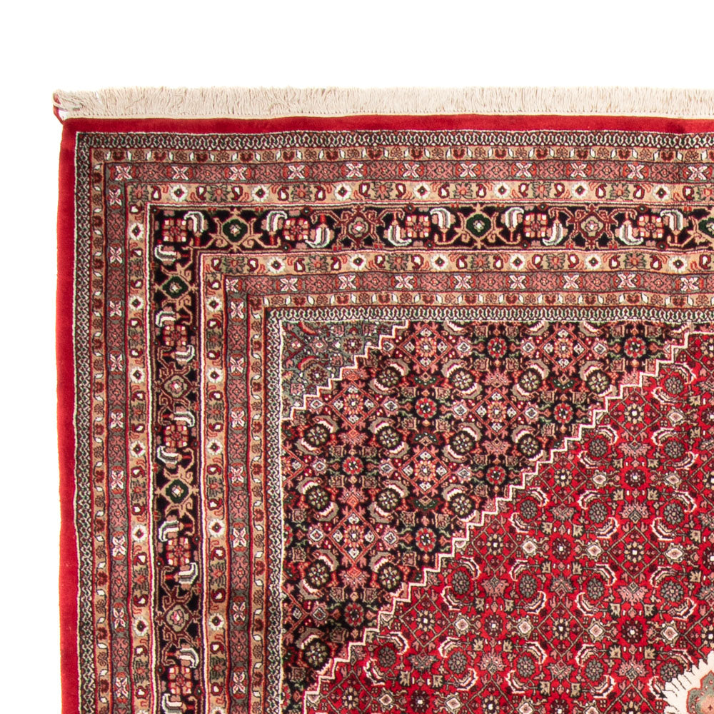 Indo Bidjar Rug 255x361cm - Oriental Rug