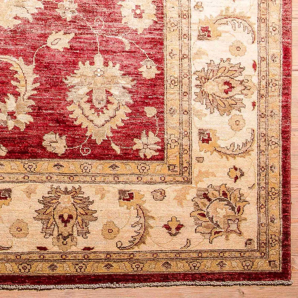 Ziegler Rug - 353 x 277 cm - red