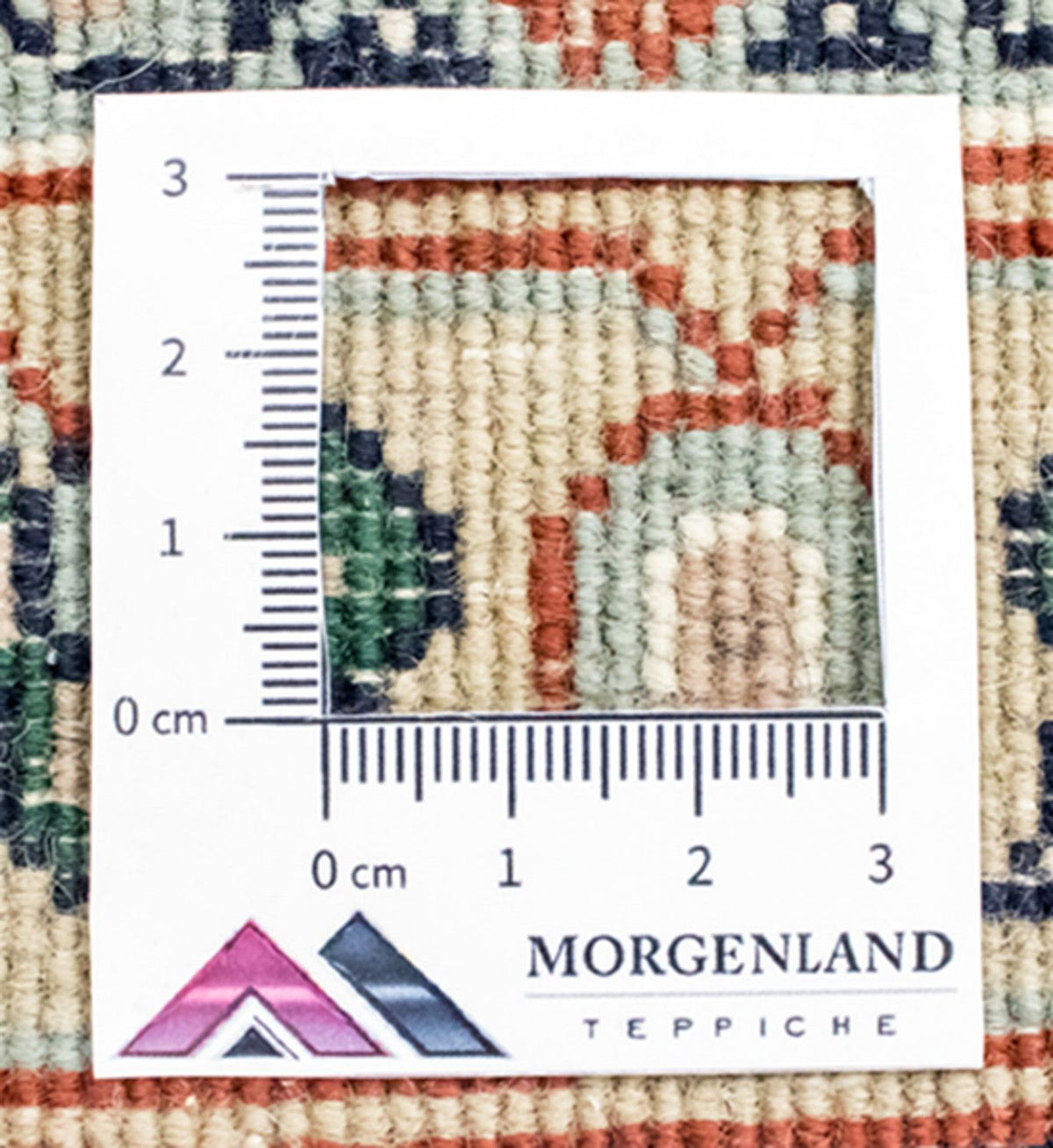 Oriental Rug - 305 x 240 cm - beige