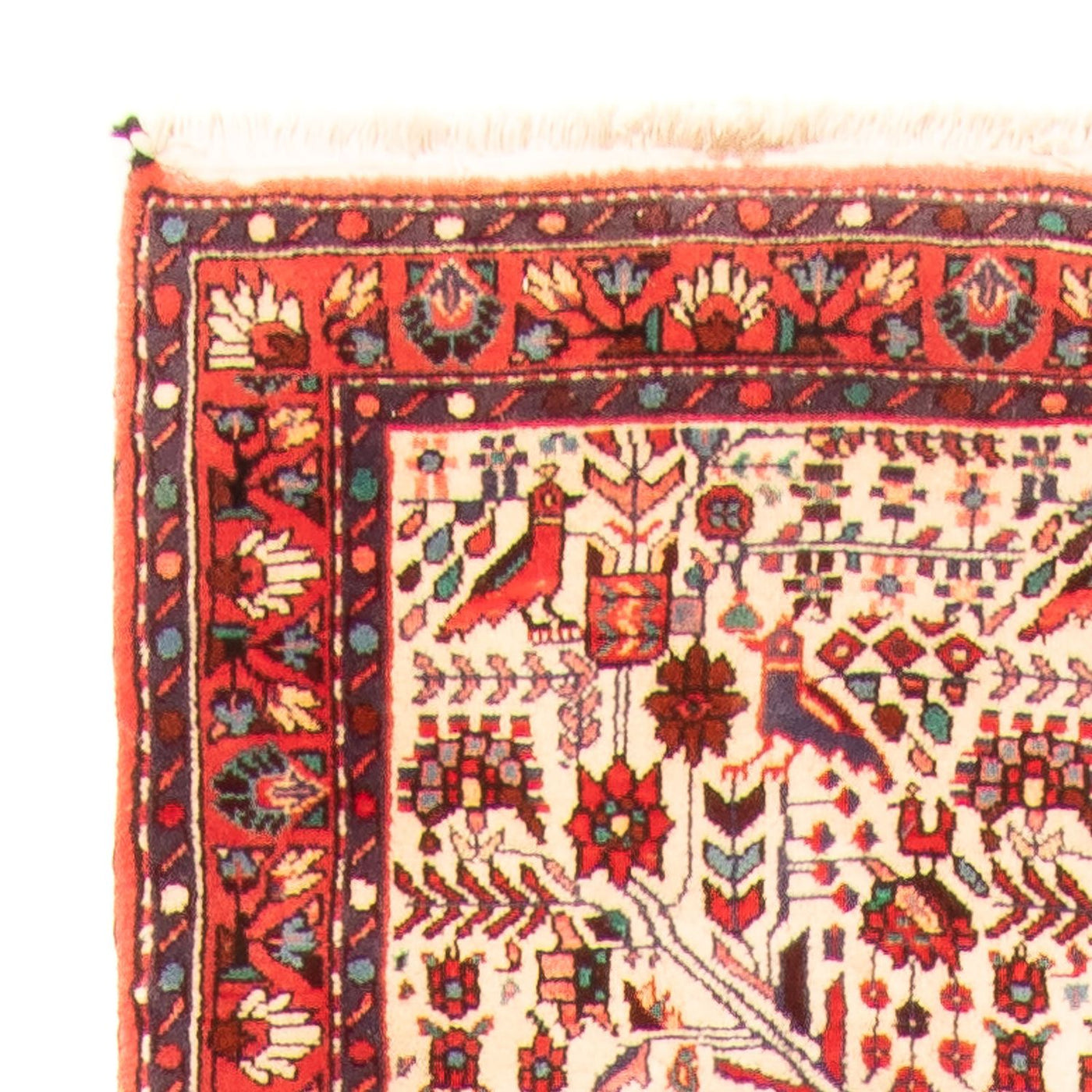 Rudbar Rug 301x169cm - Persian Rugs
