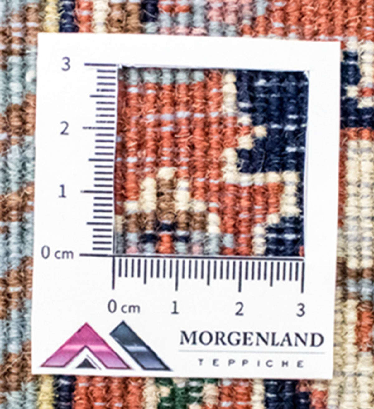 Oriental Rug - 350 x 256 cm - beige