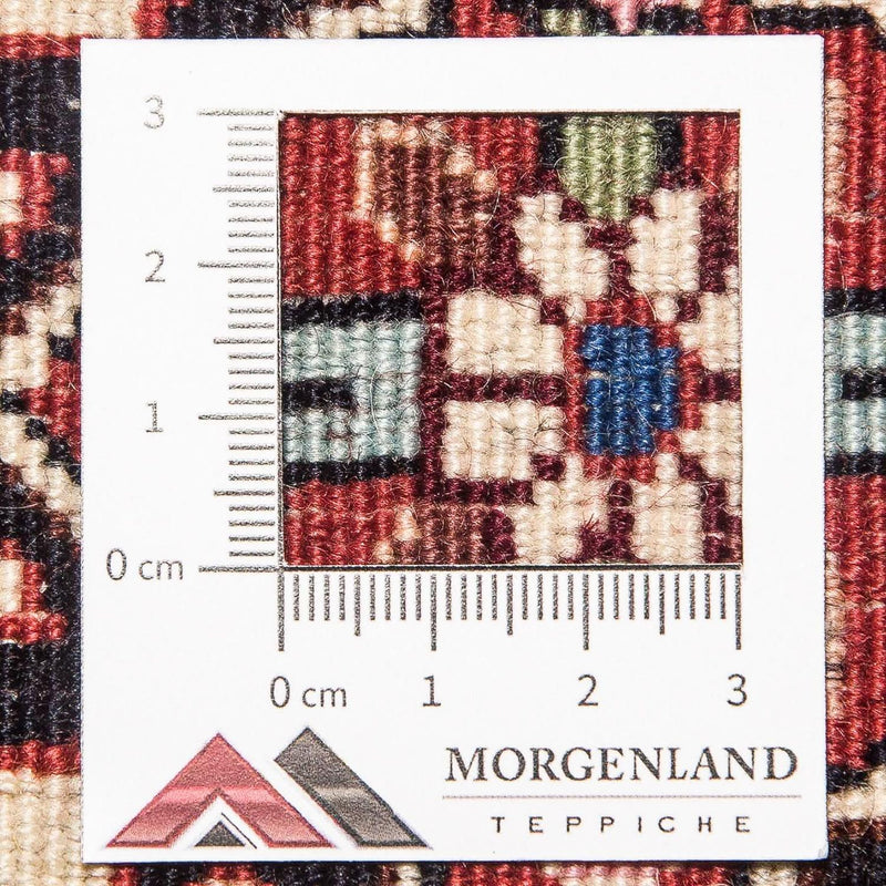 Perser Rug - Bidjar - 290 x 177 cm - orange