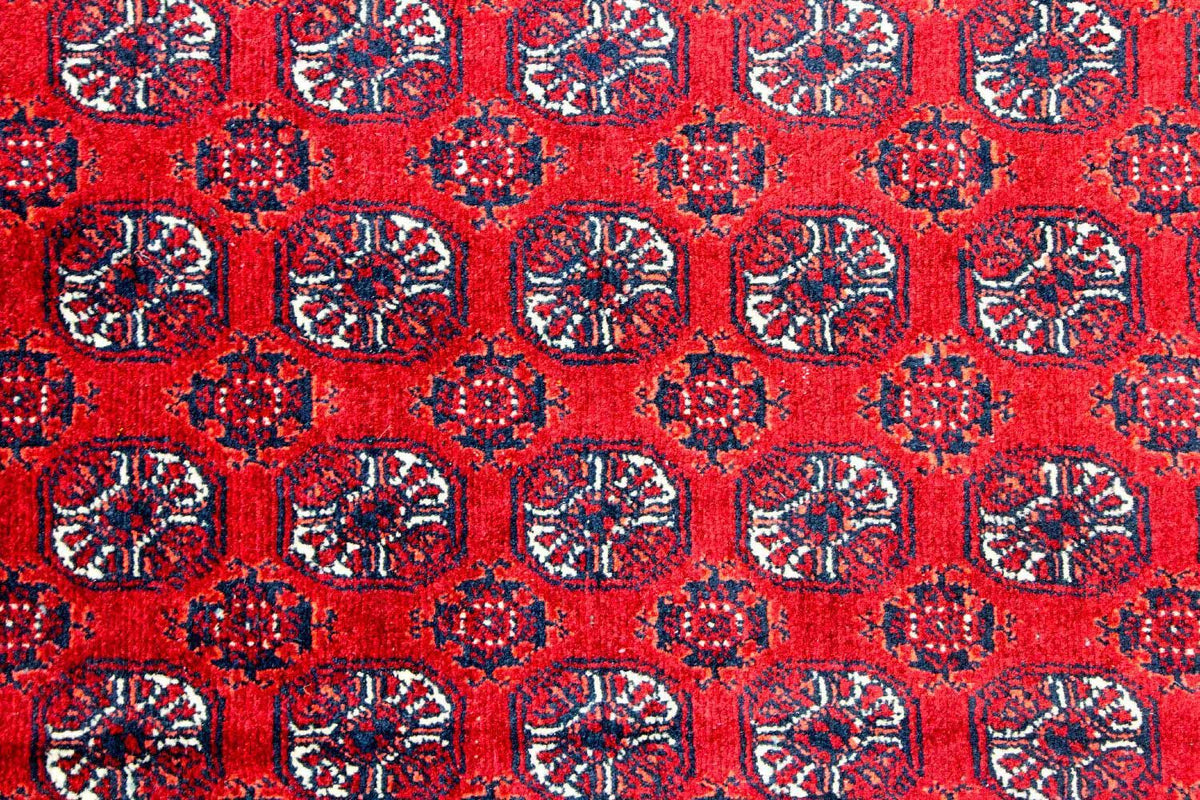 Afghan Rug - Bukhara - 300 x 195 cm - red