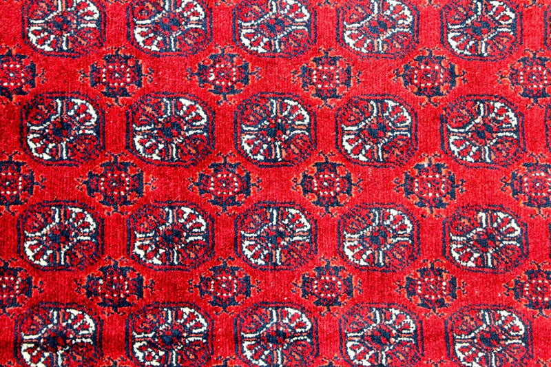 Afghan Rug - Bukhara - 300 x 195 cm - red