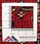 Turkaman Rug - 130 x 60 cm - red