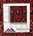 Turkaman Rug - 130 x 60 cm - red