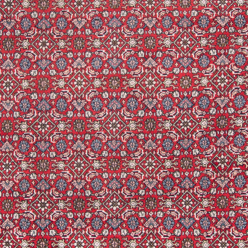 Oriental Rug - Bidjar - Indus - 353 x 253 cm - red