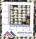 Oriental Rug - 160 x 90 cm - beige