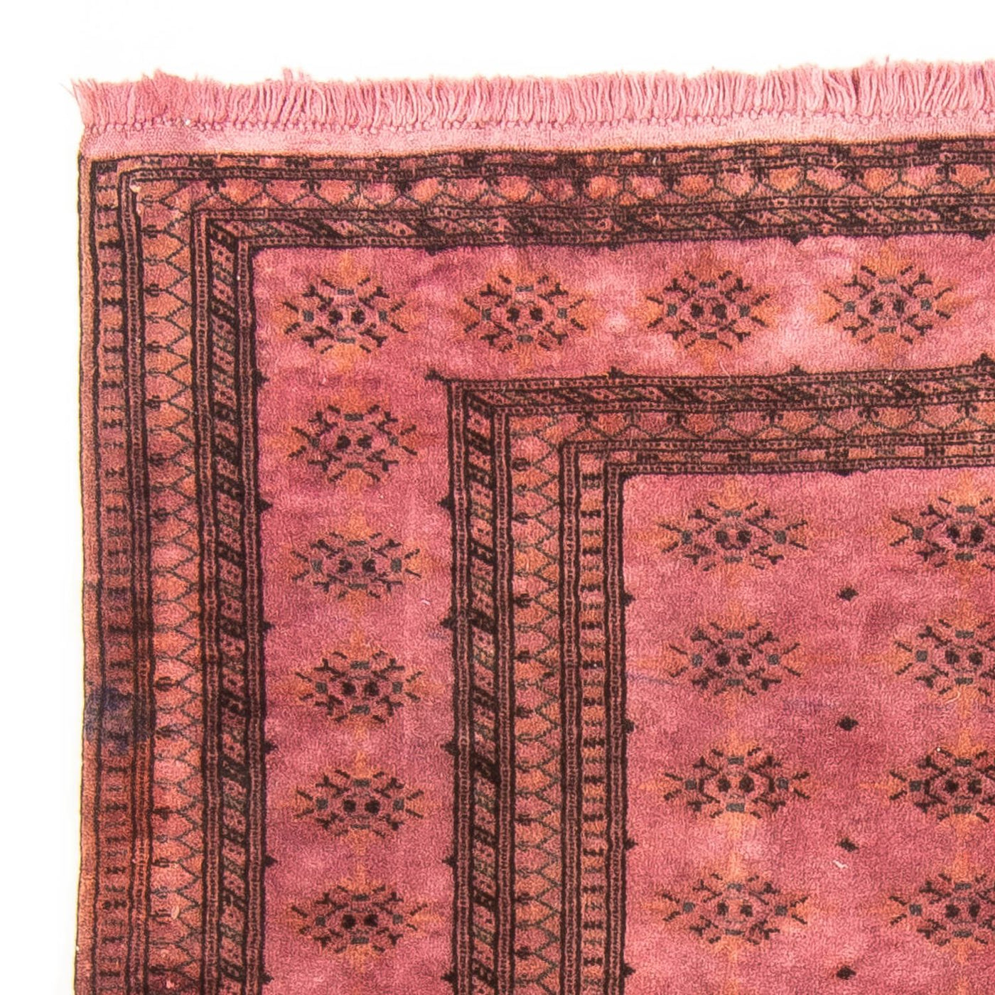 Pakistani Rug 165x131cm - Persian Rugs