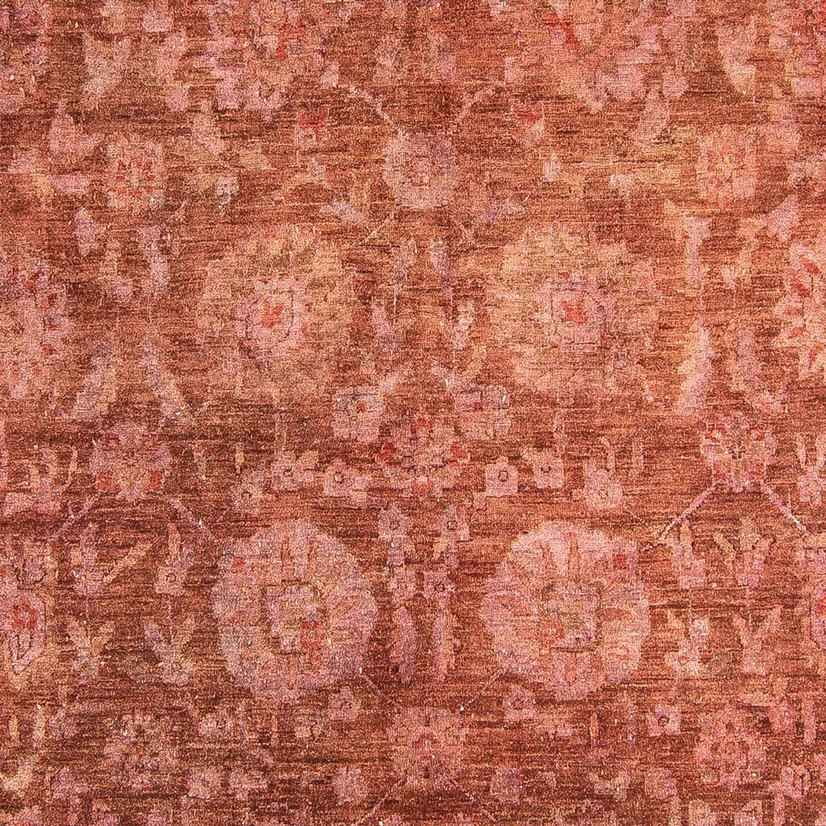 Ziegler Rug - 307 x 235 cm - brown