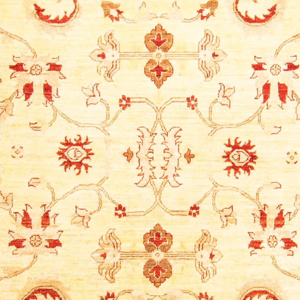 Ziegler Rug - 286 x 207 cm - beige