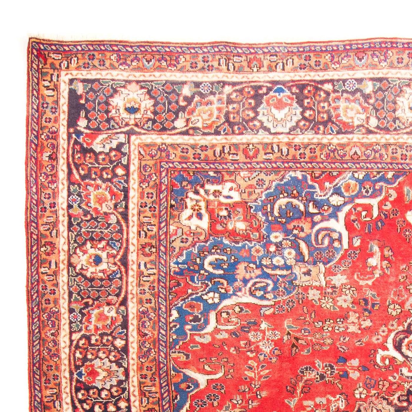Mashhad Rug 300x247cm - Persian Rugs