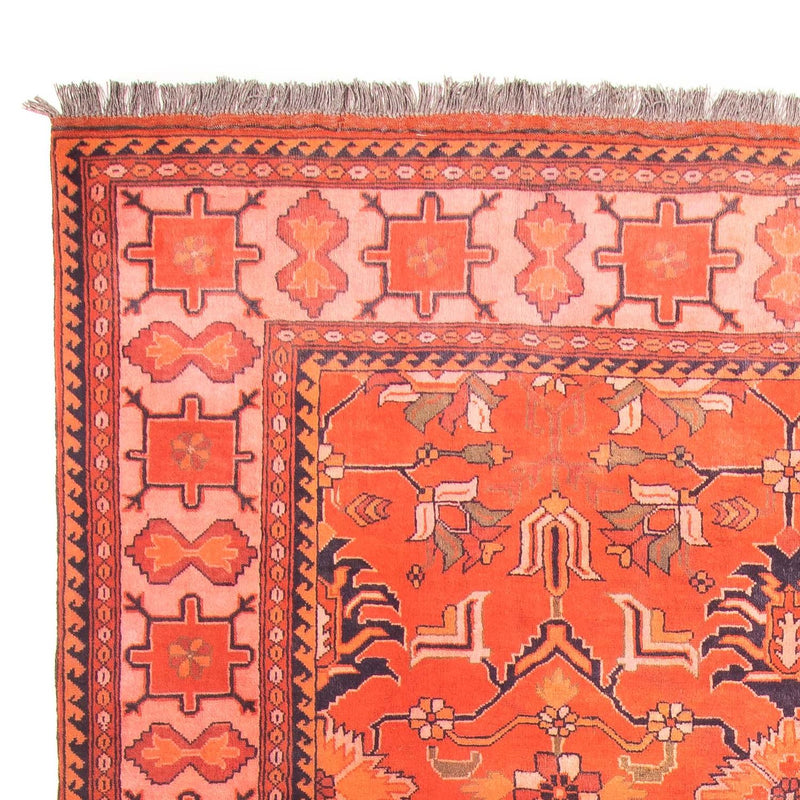 Afghan Rug - Hatschlu - 300 x 205 cm - light red