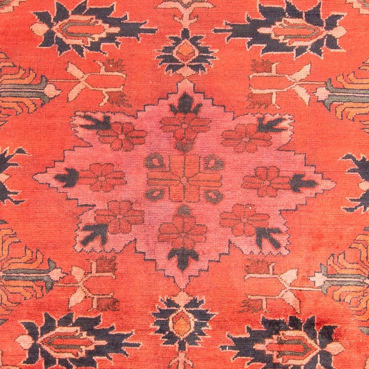 Afghan Rug - Hatschlu - 280 x 200 cm - light red