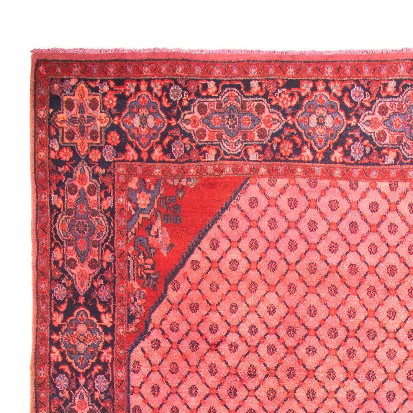 Kolyai Rug 290x210cm - Persian Rugs