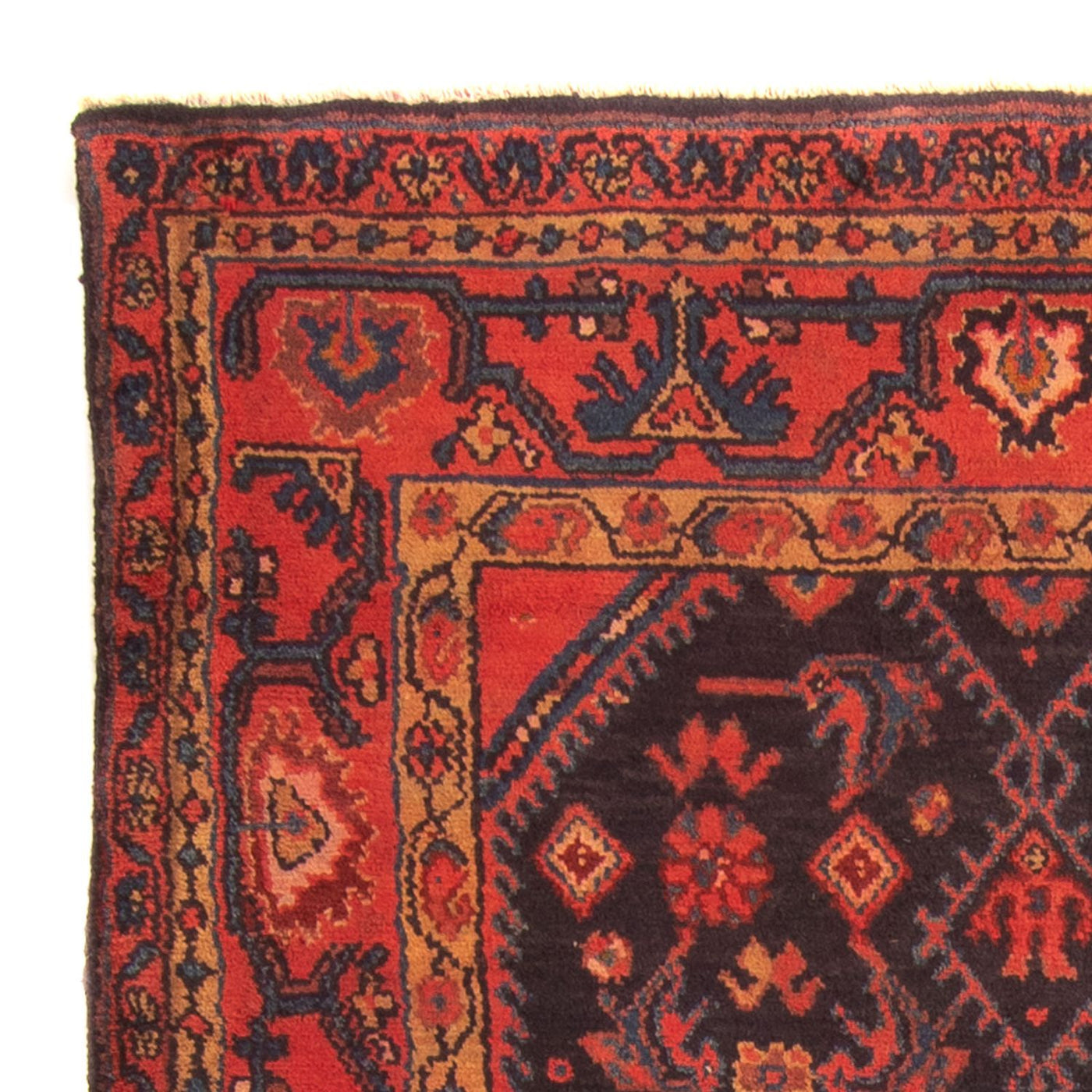 Nahavand Rug 167x113cm - Persian Rugs